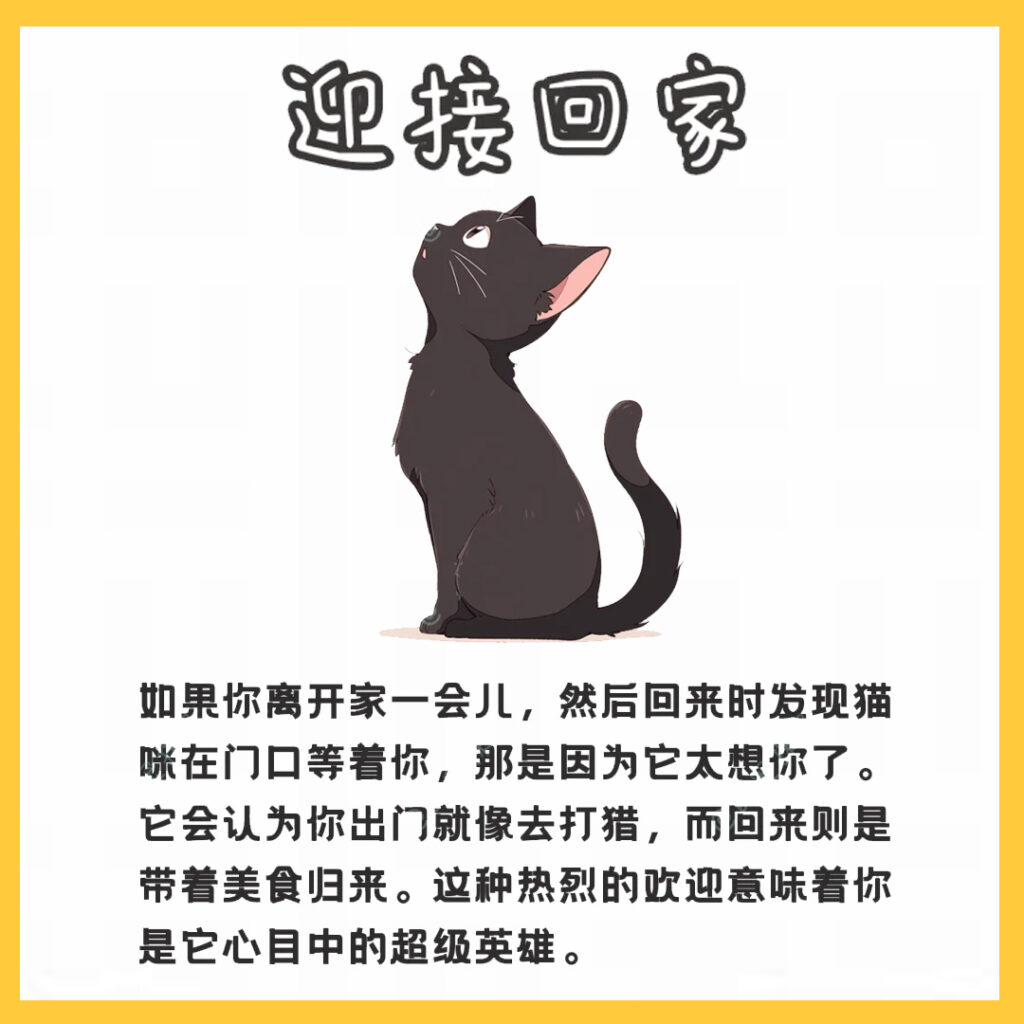猫咪认主人的迹象