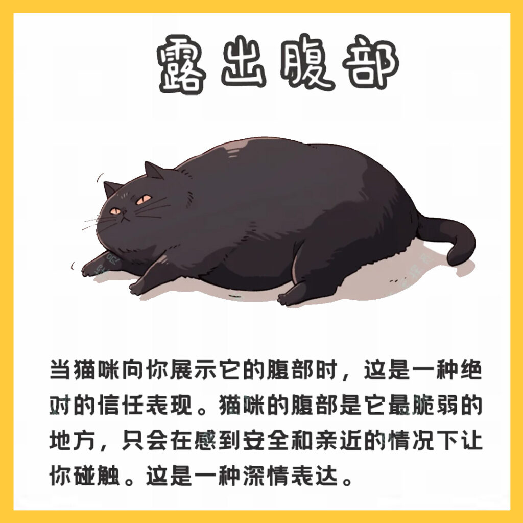 猫咪认主人的迹象