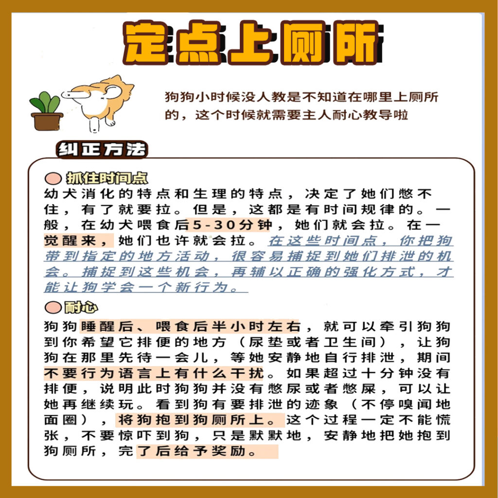 0-12个月 幼犬喂养攻略
