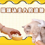 猫咪认主人的迹象