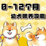 0-12个月 幼犬喂养攻略