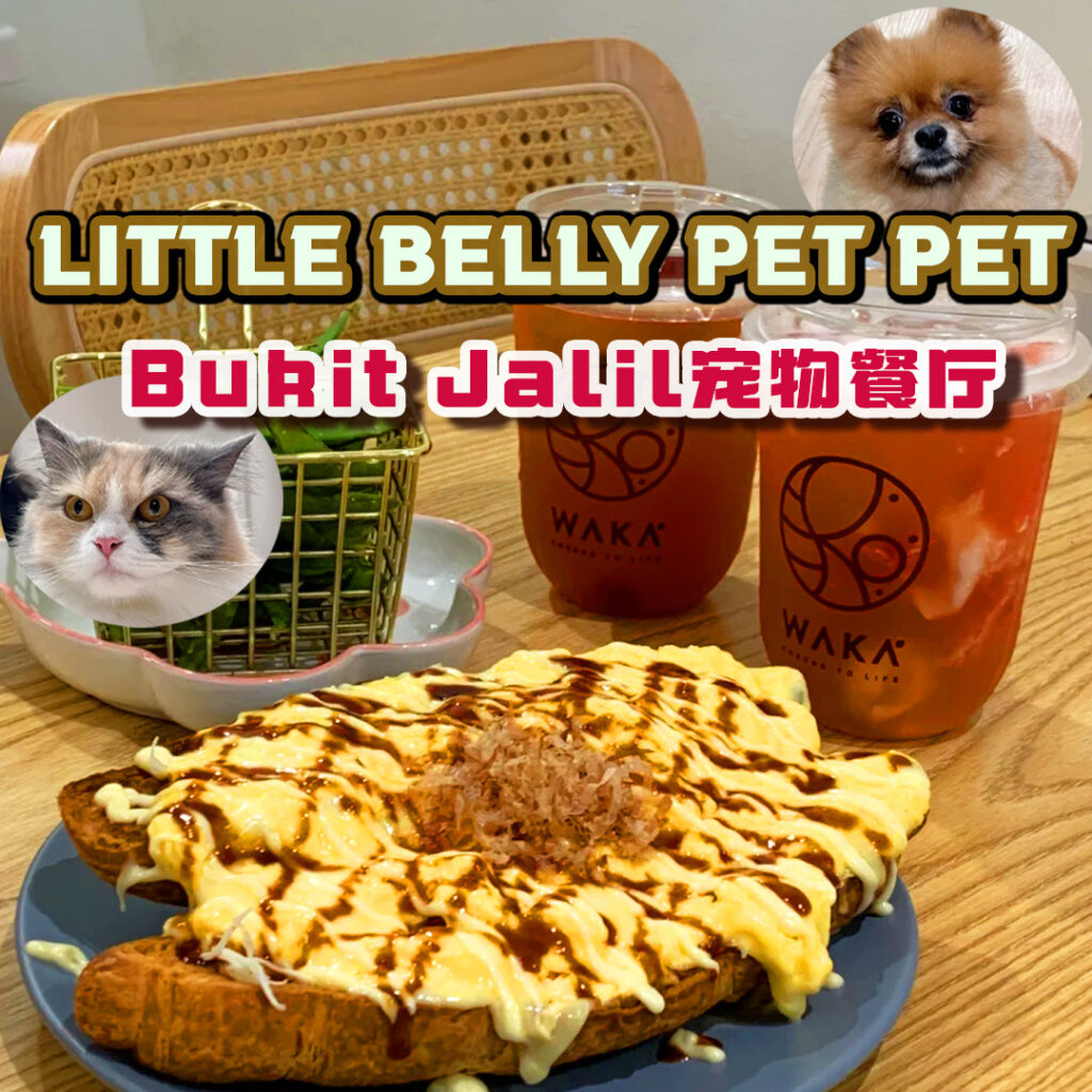 宠物餐厅Bukit Jalil -Little Belly Pet Pet