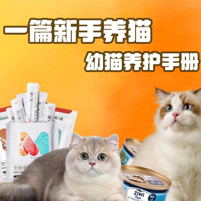 一篇新手养猫幼猫护养手册