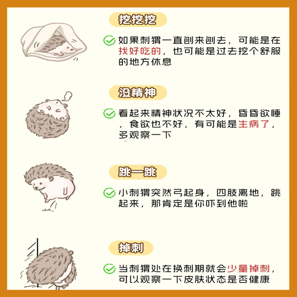 1. copy 3