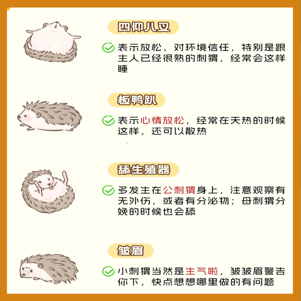 1. copy 4