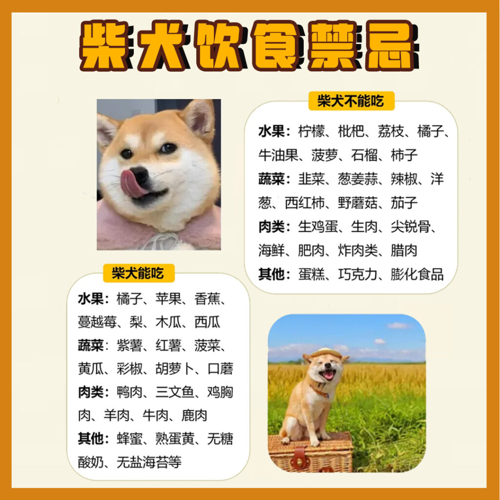 1. copy 4