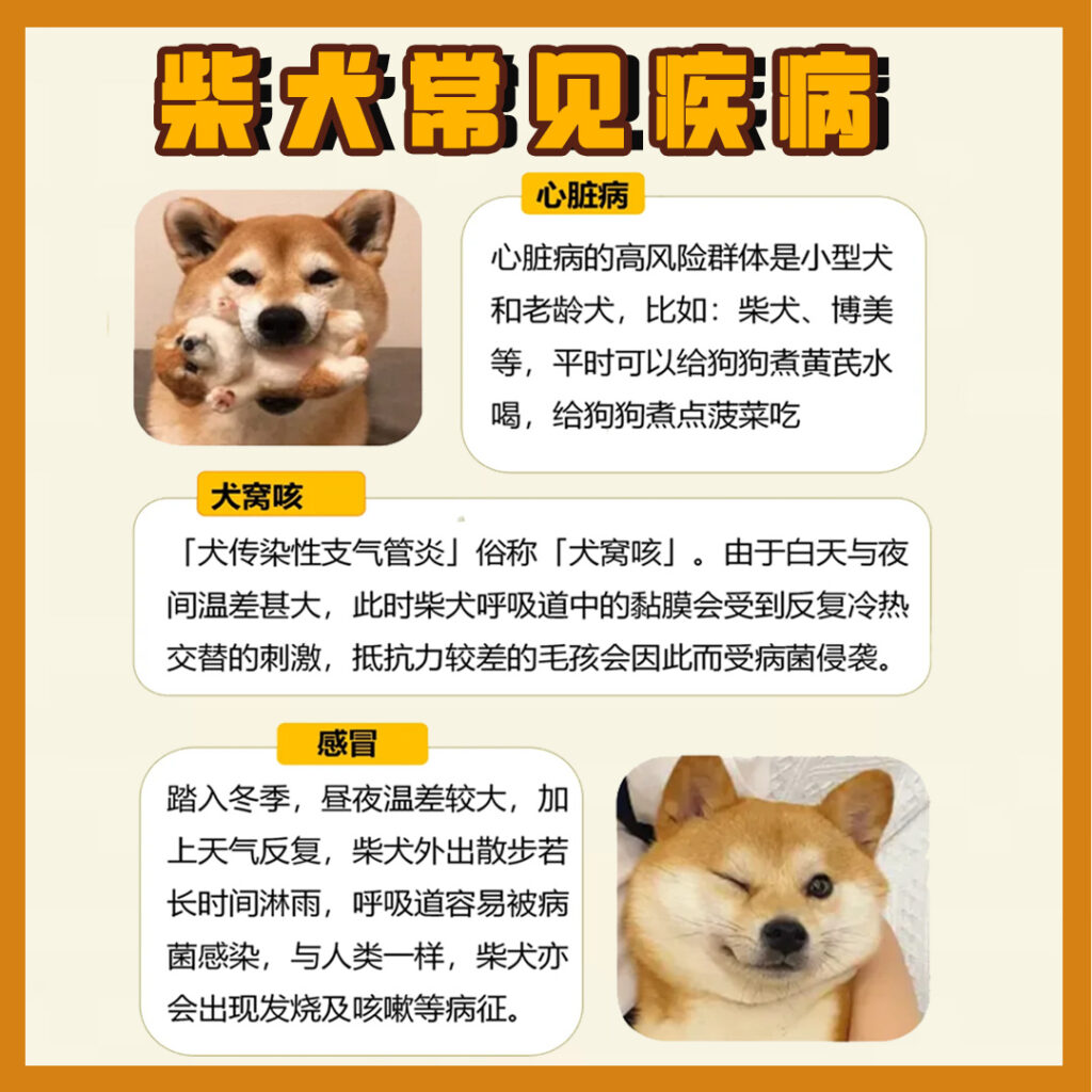 1. copy 8