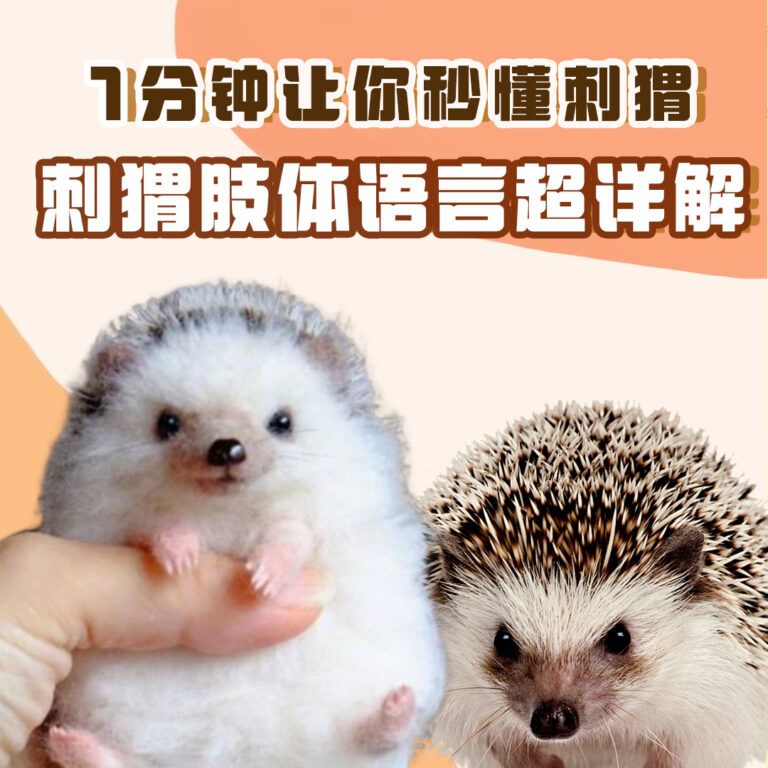 Banner small photo