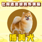Banner small photo
