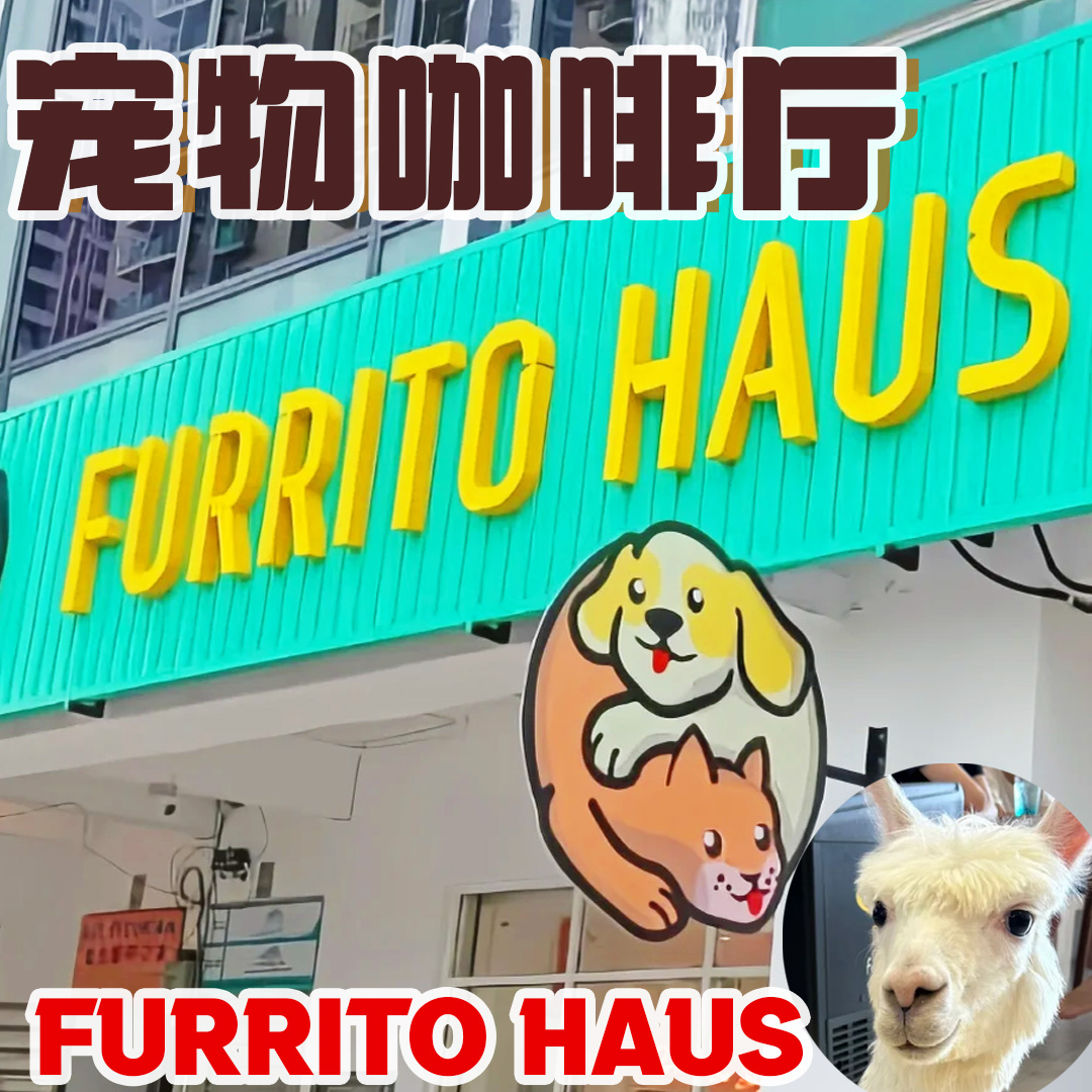 Banner small photo