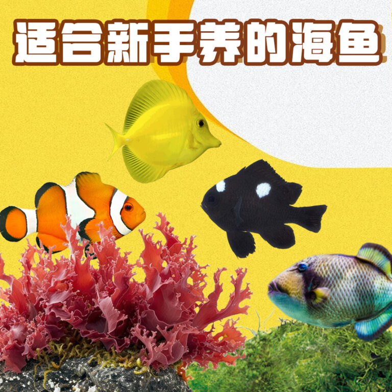 Banner small photo