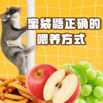 Banner small photo