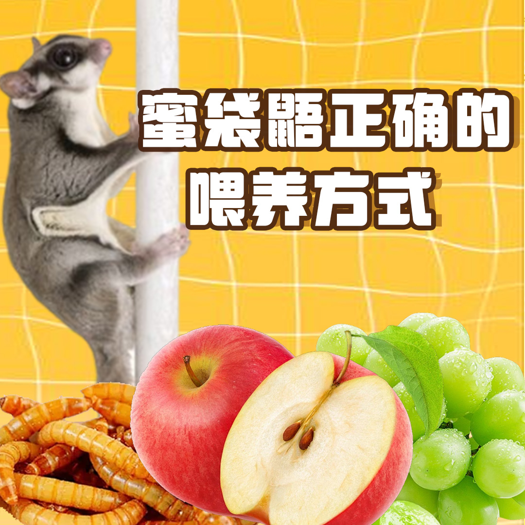 Banner small photo