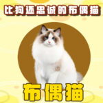 Banner small photo