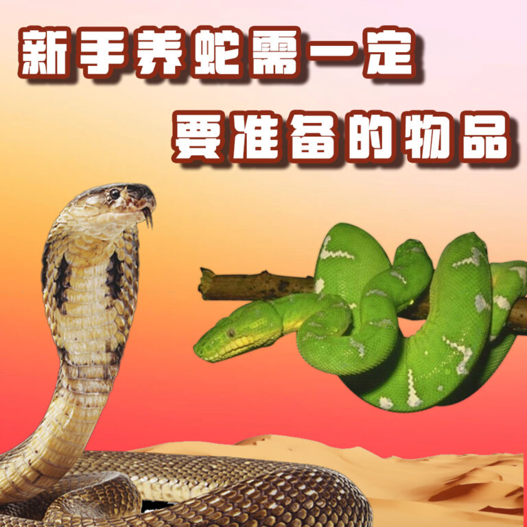 Banner small photo